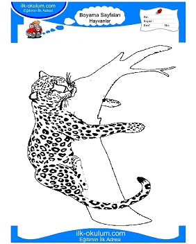 Çocuklar İçin Jaguar Boyama Sayfaları 